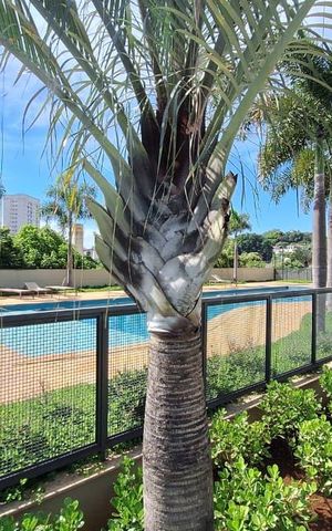 Apartamento à venda com 127m², 3 quartos e 3 vagas Apartamento à venda com 127m², 3 quartos e 3 vagasÁrea comum