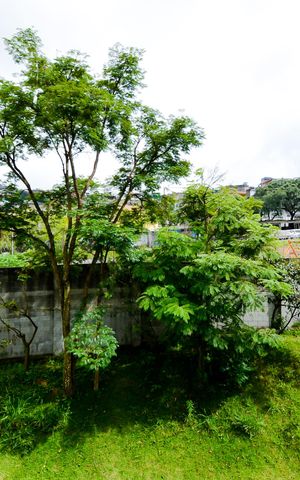 Apartamento para alugar com 42m², 2 quartos e 1 vagaVista do Quarto 2