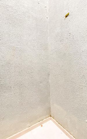 Apartamento para alugar com 63m², 2 quartos e sem vaga Apartamento para alugar com 63m², 2 quartos e sem vagaCozinha / área de serviço