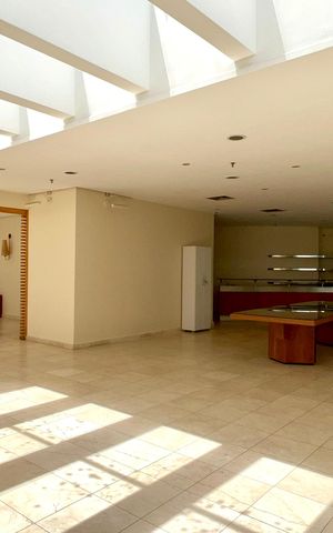 Apartamento para alugar com 55m², 1 quarto e sem vagaSalão de Festas