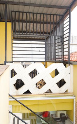 Casa à venda com 450m², 3 quartos e sem vagaÁrea de Lazer