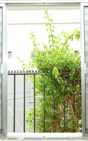 Casa à venda com 450m², 3 quartos e sem vagaQuarto 2