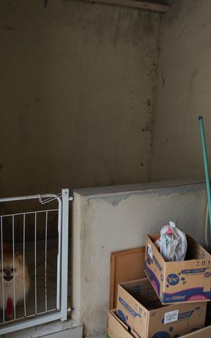 Casa para alugar com 150m², 4 quartos e 5 vagasÁrea de Serviço