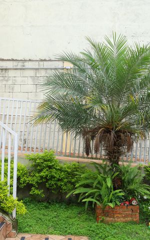 Casa de condomínio à venda com 72m², 2 quartos e 2 vagasÁrea comum - Hall de entrada
