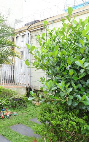 Casa de condomínio à venda com 72m², 2 quartos e 2 vagasÁrea comum - Hall de entrada