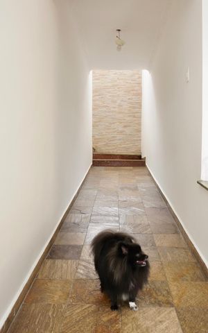 Casa à venda com 442m², 7 quartos e 2 vagas Casa à venda com 442m², 7 quartos e 2 vagasRampa (Casa 1)