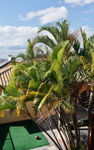 Casa à venda com 442m², 7 quartos e 2 vagas Casa à venda com 442m², 7 quartos e 2 vagasVista (Casa 2)