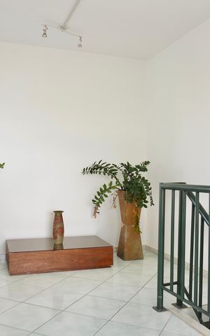 Casa à venda com 442m², 7 quartos e 2 vagas Casa à venda com 442m², 7 quartos e 2 vagasSala 4 (Casa 2)