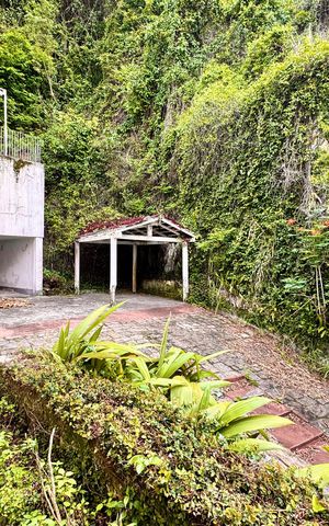 Casa para alugar com 888m², 7 quartos e 3 vagas