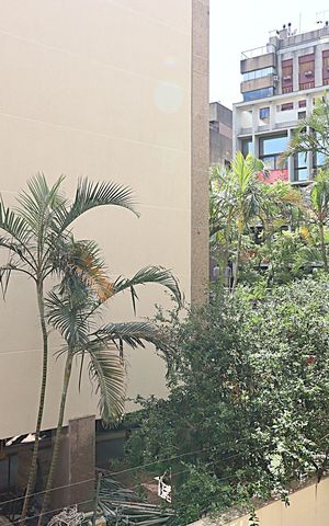 Apartamento à venda com 74m², 2 quartos e 1 vagaVista do Quarto 2
