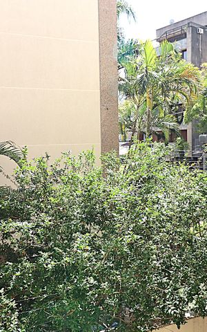 Apartamento à venda com 74m², 2 quartos e 1 vagaVista da Suíte