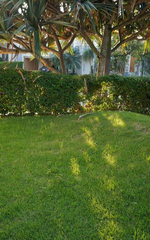 Casa de condomínio à venda com 260m², 2 quartos e 2 vagasÁrea externa