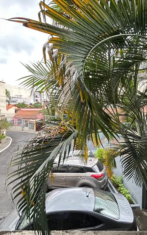 Casa de condomínio à venda com 215m², 3 quartos e 3 vagasVista da Sala