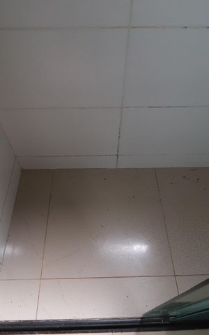 Apartamento para alugar com 50m², 2 quartos e 1 vaga Apartamento para alugar com 50m², 2 quartos e 1 vagaBanheiro