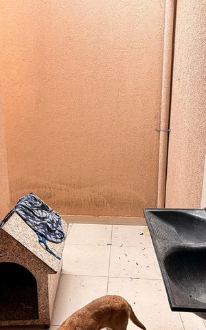 Casa para alugar com 130m², 2 quartos e 3 vagasÁrea de Serviço
