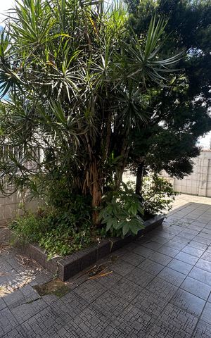 Apartamento para alugar com 60m², 2 quartos e sem vaga Apartamento para alugar com 60m², 2 quartos e sem vagaÁrea comum