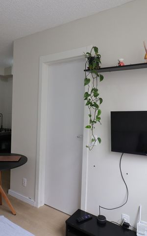 Apartamento para alugar com 35m², 2 quartos e sem vagaSala