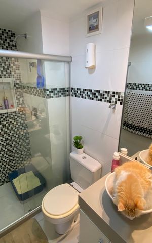 Apartamento à venda com 70m², 3 quartos e 1 vaga