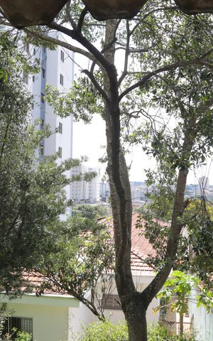 Casa à venda com 500m², 4 quartos e 6 vagas Casa à venda com 500m², 4 quartos e 6 vagasVista da área da churrasqueira