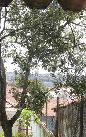 Casa à venda com 500m², 4 quartos e 6 vagas Casa à venda com 500m², 4 quartos e 6 vagasVista da área da churrasqueira