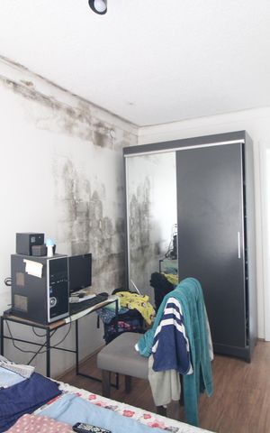 Apartamento para alugar com 50m², 1 quarto e sem vagaSuíte