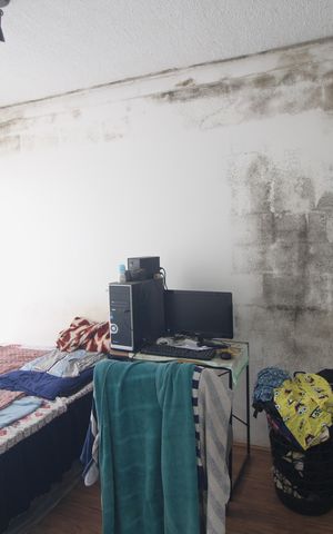 Apartamento para alugar com 50m², 1 quarto e sem vagaSuíte