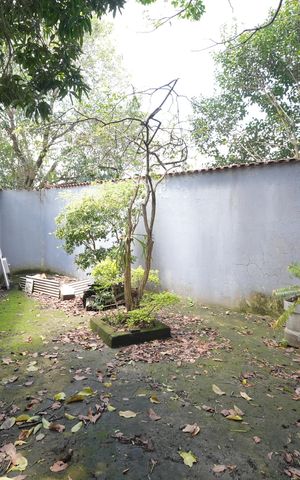 Casa para alugar com 656m², 3 quartos e 4 vagasQuintal