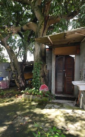 Casa para alugar com 656m², 3 quartos e 4 vagasQuintal