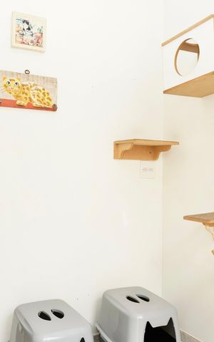 Casa à venda com 330m², 5 quartos e 4 vagas Casa à venda com 330m², 5 quartos e 4 vagasDCE completo