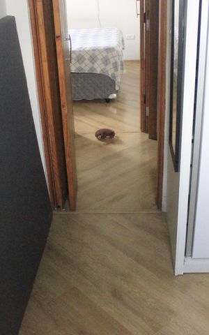 Apartamento à venda com 77m², 2 quartos e 1 vagaQuarto 2