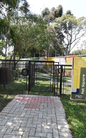Apartamento para alugar com 65m², 3 quartos e 1 vagaÁrea comum - Espaço pet