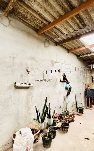 Casa à venda com 59m², 3 quartos e 2 vagas Casa à venda com 59m², 3 quartos e 2 vagasQuintal