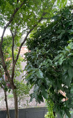 Apartamento à venda com 67m², 2 quartos e 1 vaga Apartamento à venda com 67m², 2 quartos e 1 vagaVista do quarto 2