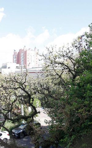 Apartamento para alugar com 113m², 3 quartos e sem vagaQuarto 1 Suíte Vista