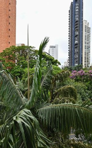Apartamento para alugar com 68m², 3 quartos e 2 vagasVista do Quarto 1