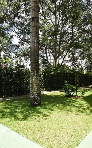 Apartamento para alugar com 68m², 3 quartos e 2 vagas Apartamento para alugar com 68m², 3 quartos e 2 vagasPista de Caminhada