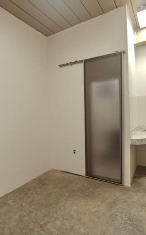Studio para alugar com 15m², 1 quarto e sem vagaSala / quarto 