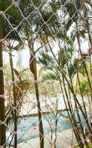 Apartamento para alugar com 49m², 2 quartos e 1 vagaVista da Varanda