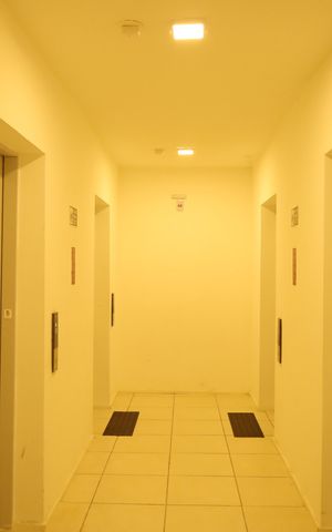 Apartamento para alugar com 47m², 3 quartos e 1 vagaÁrea comum - Saguão do prédio