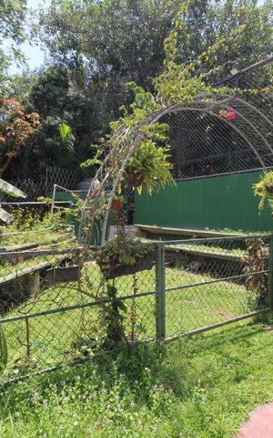 Apartamento à venda com 65m², 3 quartos e 1 vagaÁrea comum