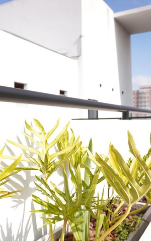 Apartamento para alugar com 20m², 1 quarto e 1 vagaÁrea comum - Vista