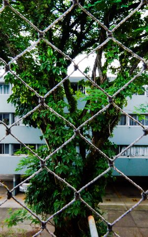Apartamento à venda com 70m², 2 quartos e 1 vagaVista Quarto 1 