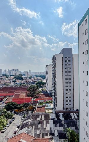 Apartamento para alugar com 59m², 2 quartos e 1 vagaVista do Quarto 1