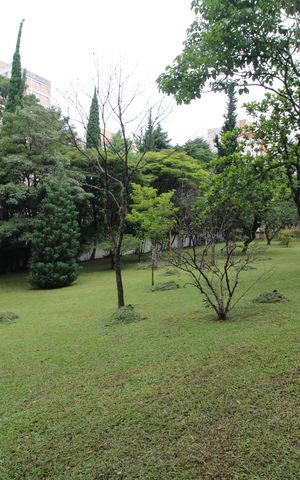 Apartamento para alugar com 70m², 3 quartos e 1 vagaÁrea comum