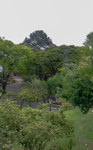 Casa de condomínio para alugar com 292m², 4 quartos e 6 vagas Casa de condomínio para alugar com 292m², 4 quartos e 6 vagasVista da Suíte/Escritório