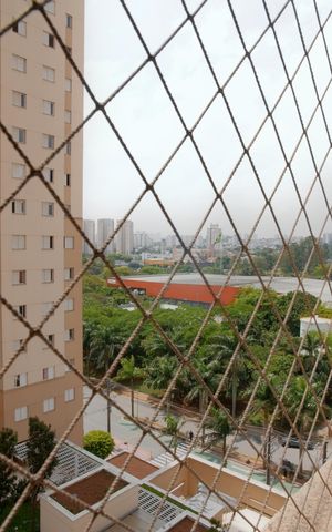 Apartamento para alugar com 60m², 2 quartos e 1 vagaVista do Quarto 1