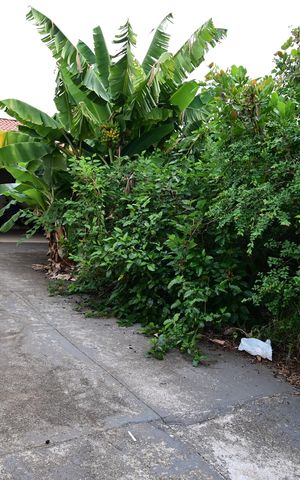 Casa à venda com 65m², 2 quartos e 2 vagas