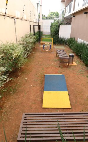 Apartamento para alugar com 31m², 1 quarto e sem vagaPet
