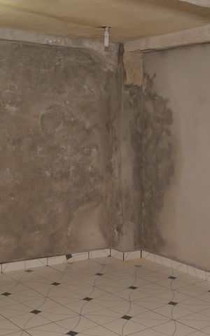 Casa à venda com 150m², 3 quartos e 2 vagas Casa à venda com 150m², 3 quartos e 2 vagasQuintal