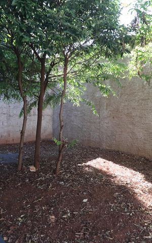 Casa para alugar com 130m², 2 quartos e 3 vagasQuintal